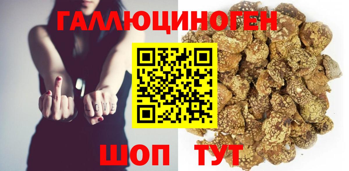 Галлюциногенные грибы Psilocybine cubensis Минеральные Воды